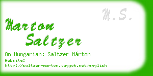 marton saltzer business card